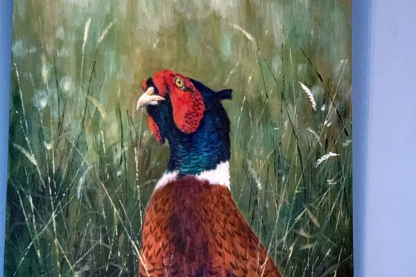 http://Duke's%20Lodge%20-%20Gun%20Room%20pheasant%20painting