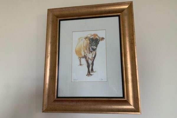 http://Duke's%20Lodge%20-%20The%20Cowshed%20-%20picture%20detail